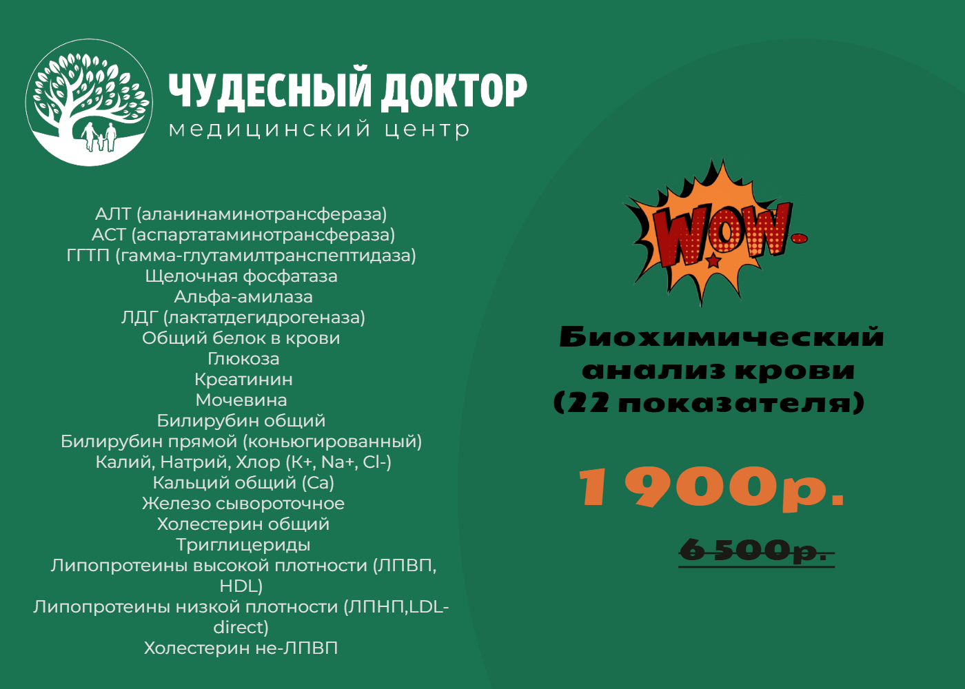 Биохимический анализ крови (22 показателя)